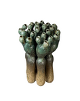 Load image into Gallery viewer, Coral Collection
