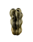 Load image into Gallery viewer, Coral Collection

