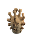 Load image into Gallery viewer, Coral Collection
