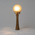 Load image into Gallery viewer, Leaky Lamp II
