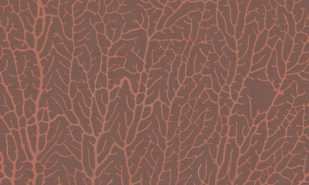 Reef