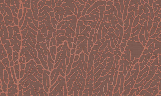 Reef