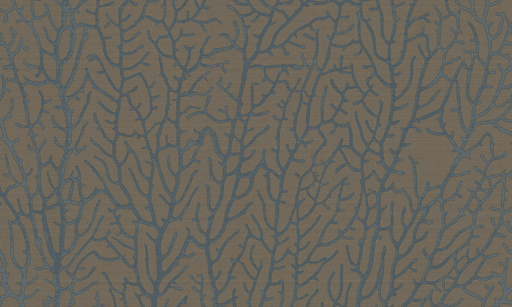 Reef