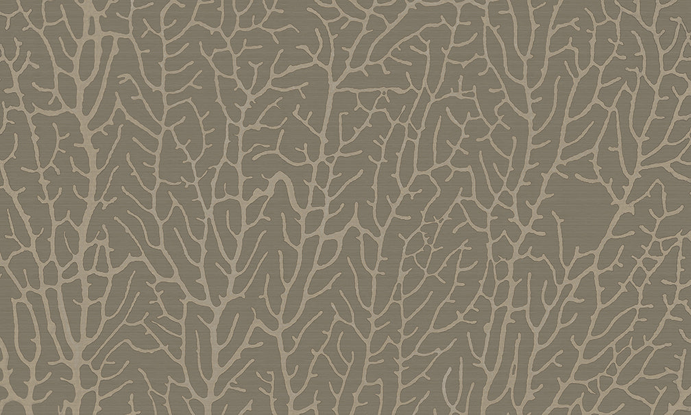 Reef