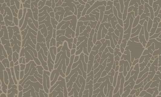 Reef